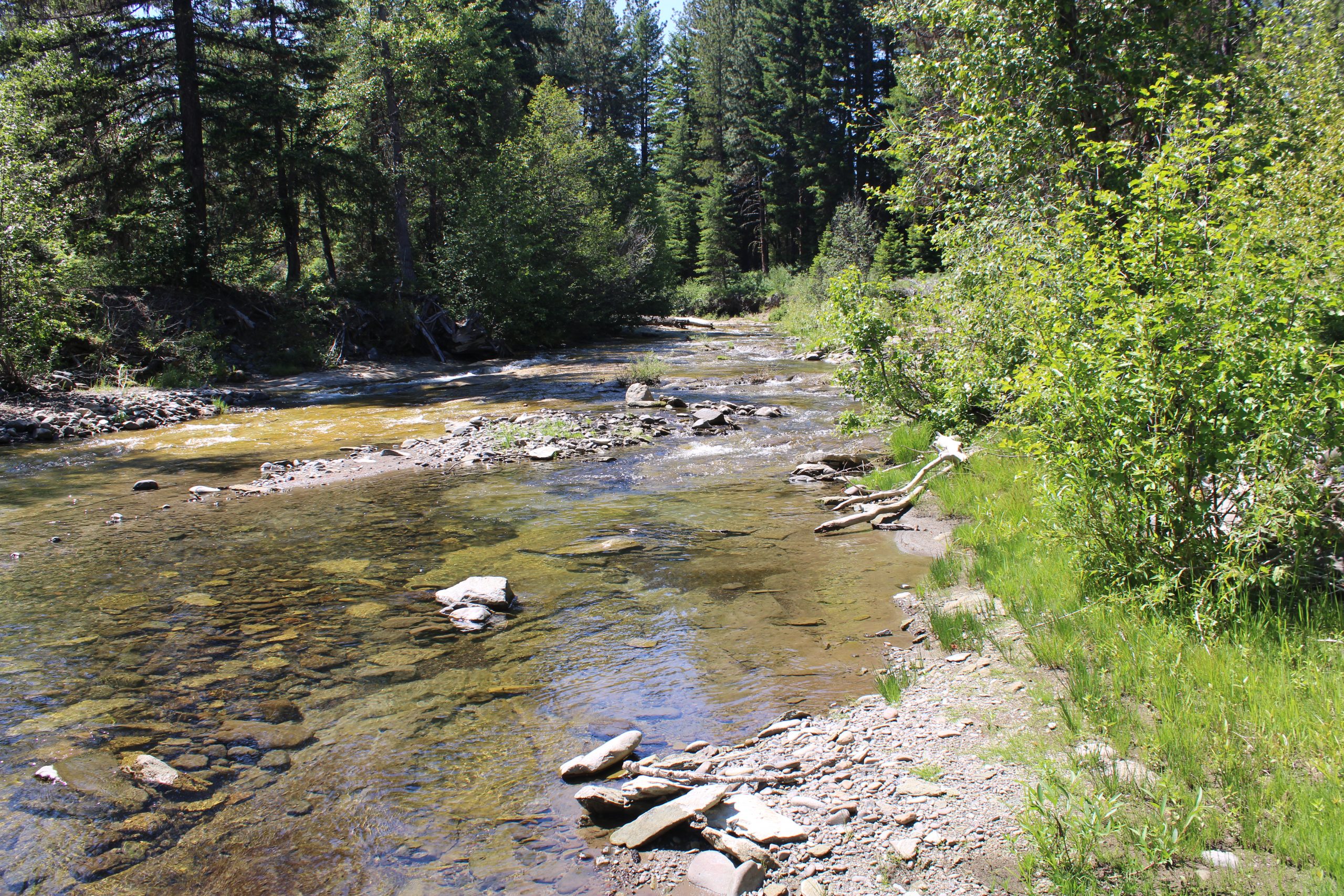 Off-Trail Backpack at the Pleasantly Placid Teanaway River – June 17th ...