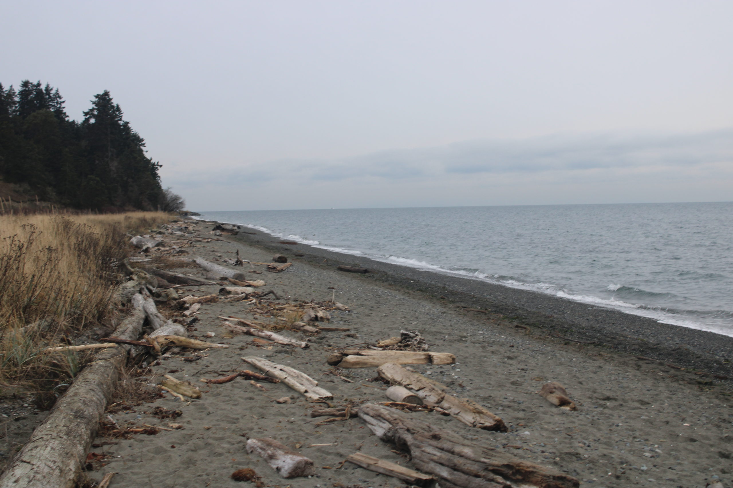 it-s-time-for-rain-shadow-when-the-whole-world-s-raining-sequim-bay